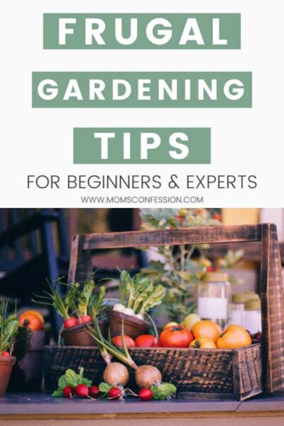Frugal Gardening Tips & Tricks for Beginners and Experts • Moms Confession