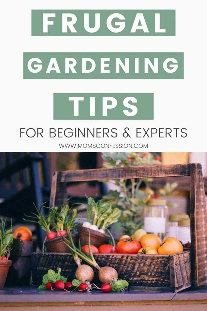 https://www.momsconfession.com/wp-content/uploads/2015/04/Frugal-Vegetable-Gardening-Tips-for-Beginners-and-Experts.jpg