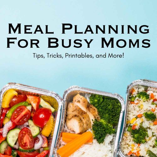 Meal Planning for Busy Moms Book