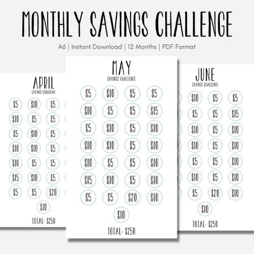 Monthly Budget Savings Challenge