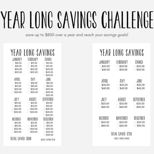 Year Long Cash Savings Tracker